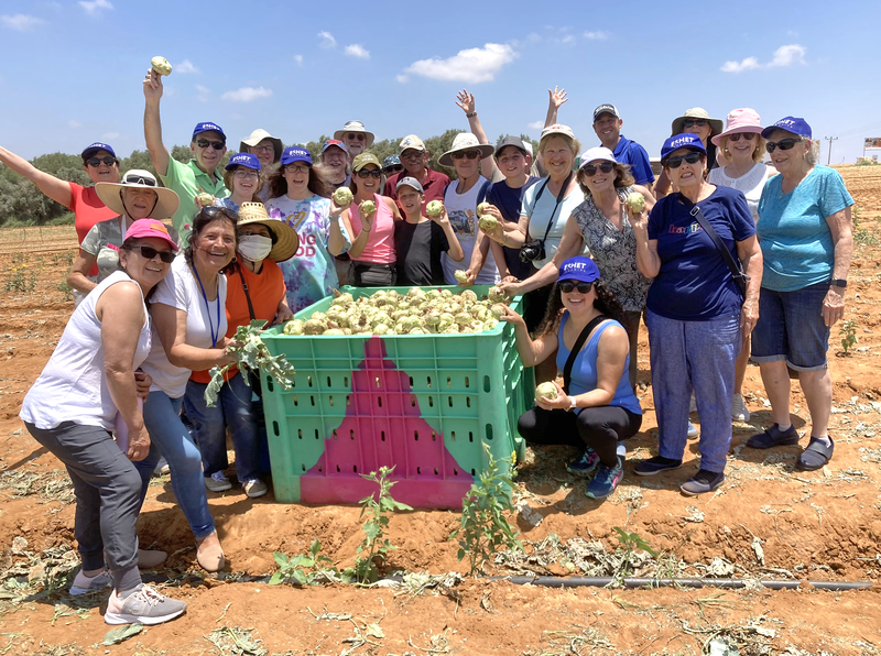		                                		                                <span class="slider_title">
		                                    CTI Israel Trip 2023 - Leket		                                </span>
		                                		                                
		                                		                            	                            	
		                            <span class="slider_description">Members of CTI's Israel Trip, 2023, picked over  600 kg (1320 pounds!) of kohlrabi which will be distributed to 300 families in need throughout Israel.</span>
		                            		                            		                            